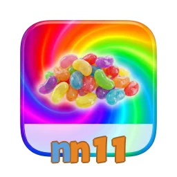 nn11